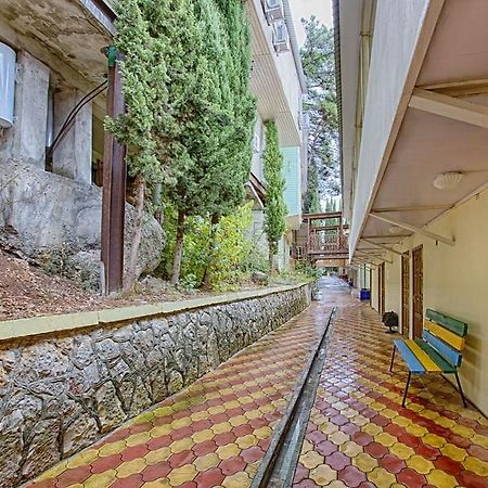 Pansionat Solnechniy Gagra Ngoại thất bức ảnh