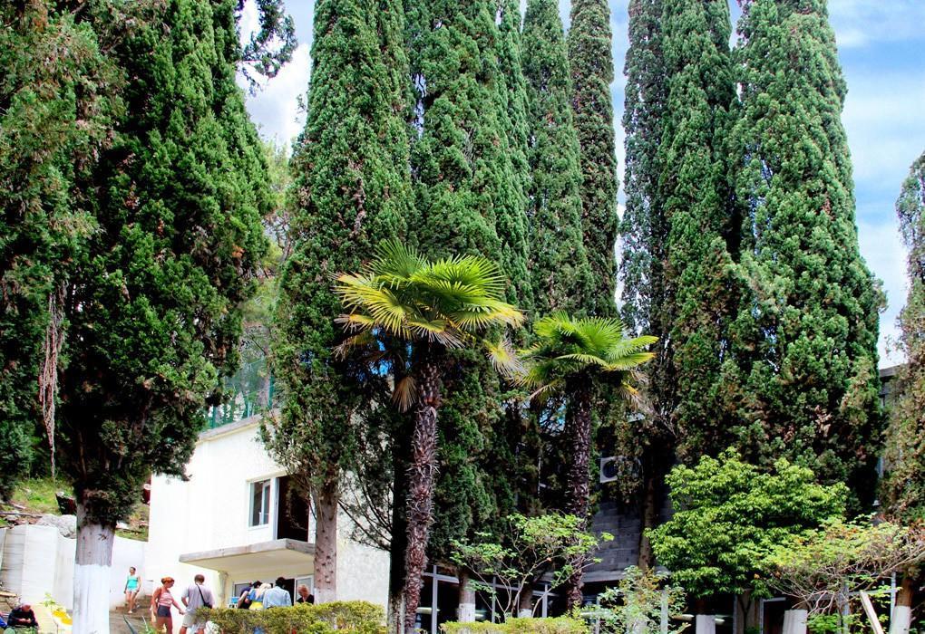 Pansionat Solnechniy Gagra Ngoại thất bức ảnh